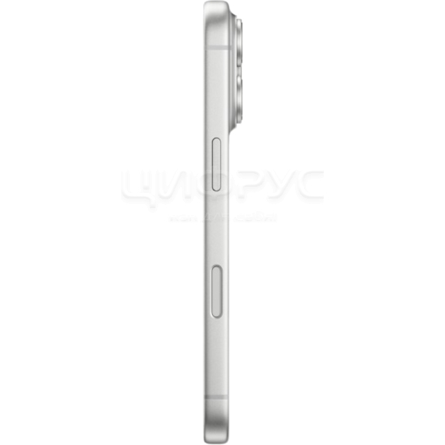 Купить Apple iPhone 17 Pro Max 256Gb Silver (Серебряный) (A3257